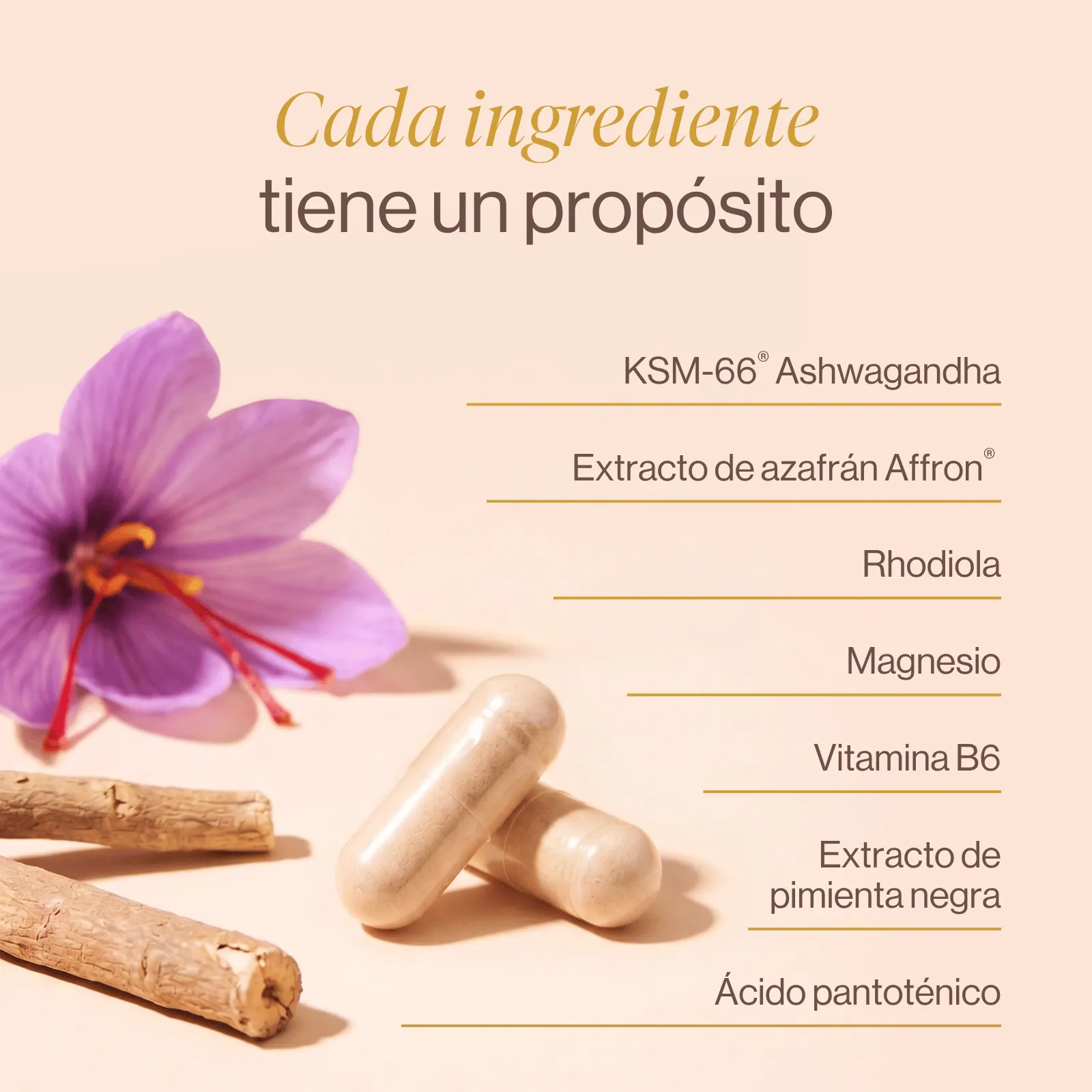 Cortisol Balance PREMIUM detalle 2